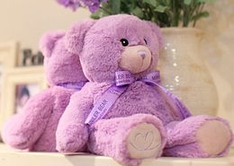 现货澳洲薰衣草小熊毛绒玩具公仔抱抱熊生日礼物泰迪熊